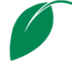 icon-page